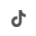 tiktok icon